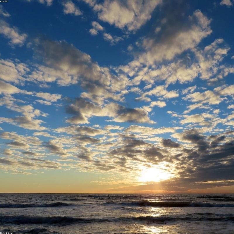 Miguel Jiménez truan